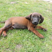 Môj narodeninový darček :) Jerry :)