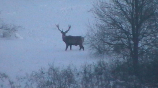 Dnes ráno o  7°°hod.