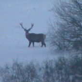 Dnes ráno o  7°°hod.