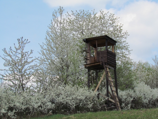 Jednoduchý ale účelný