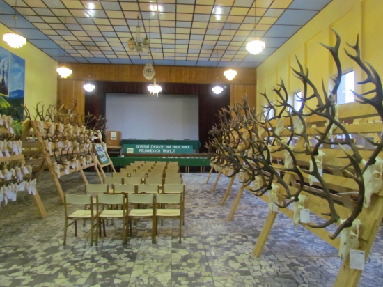 O CH P Ladomirová 2016