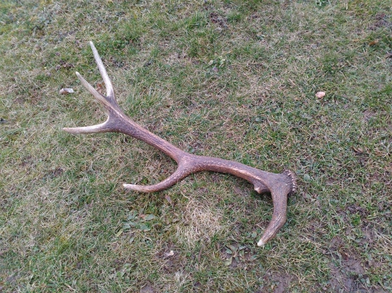 Nedeľná prechádzka