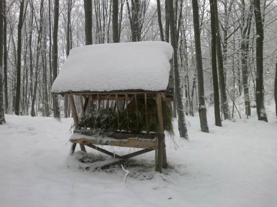 Krmelec na Chochuľke