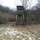 Posed v Ľubíne