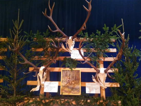 Tie naj.jelene na Kysuciach 2017-2018