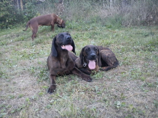 Odpočinok po výcviku