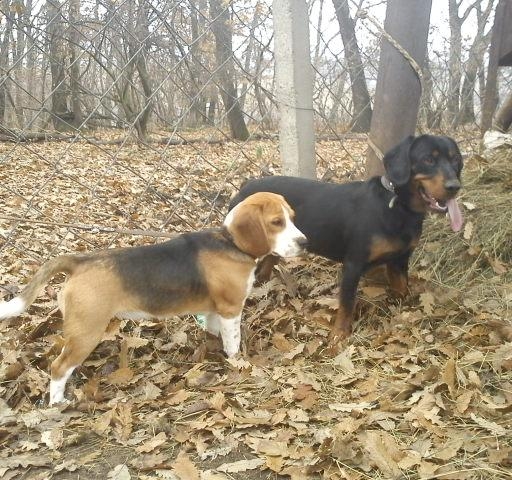 Cakanie pri oplôtku