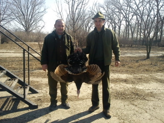 Darček od kamaráta - poľovačka na divú morku Kanadskú