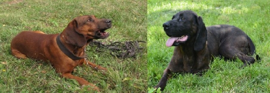 Bude to dobré spojenie?