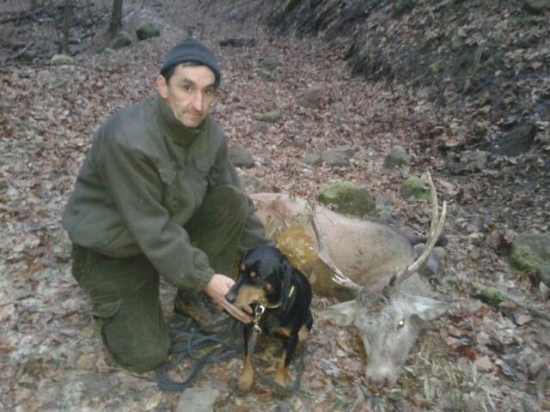 Ukážková dohľadávka mojej Bei