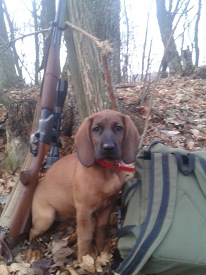 Cida pod Karikášom