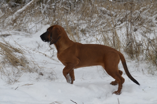 Prvý kontakt so snehom