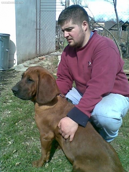 Ador Pod Karikášom/7 mesiacov/