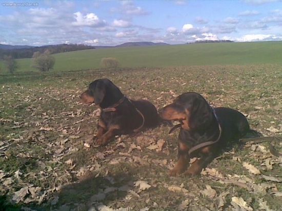 Odloženie Axa z Evkinho dvora so svojou matkou