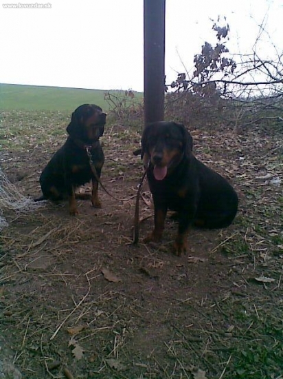 Baron z Evkinho dvora s matkou