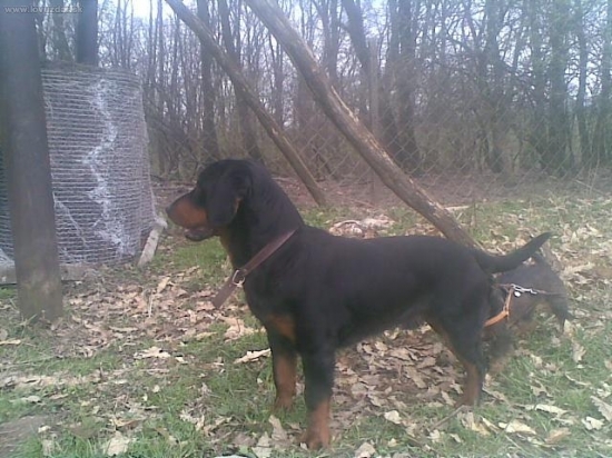 Baron z evkinho dvora