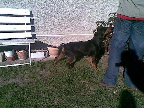 Andy z Evkinho dvora