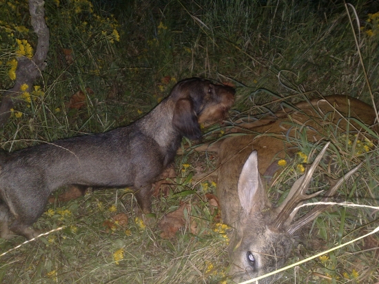 Úspešná dohľadávka