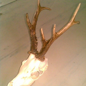 nepravidelný osmorák