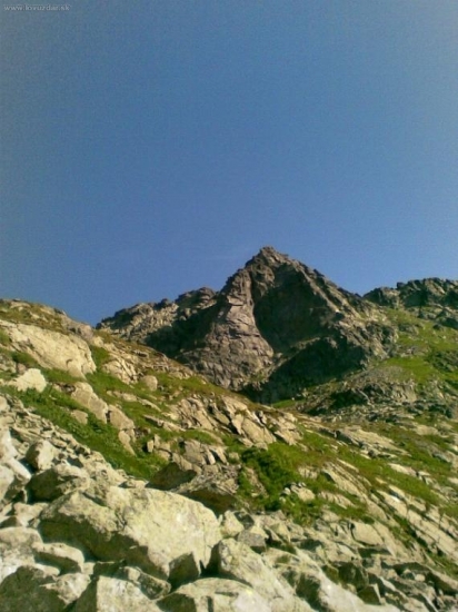 Volia veza