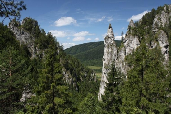 Sokolia veza
