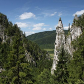 Sokolia veza