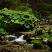 potocik, len sama cistota... :-)