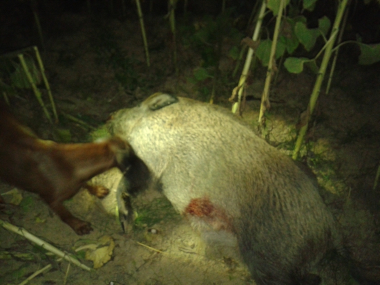 15 min. Hlásenie už zhasnutého lanštiaka