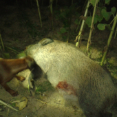 15 min. Hlásenie už zhasnutého lanštiaka