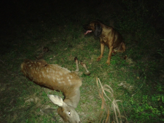 Ďalšia úspešná dohladávka