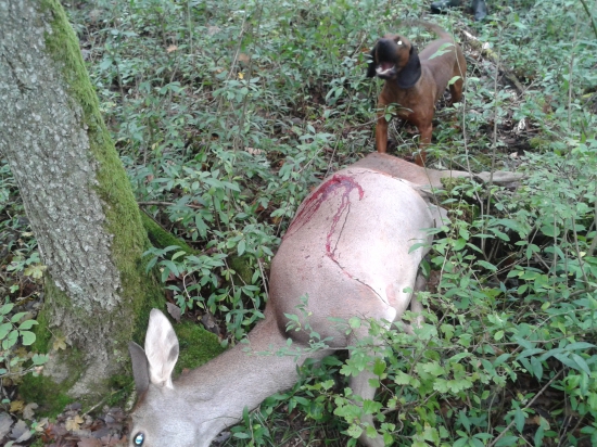 Radosť sledovať, keď ho to baví