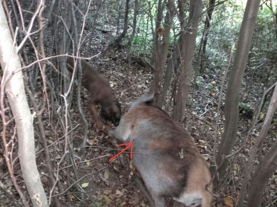 Dohľadané -Faro Klobušice