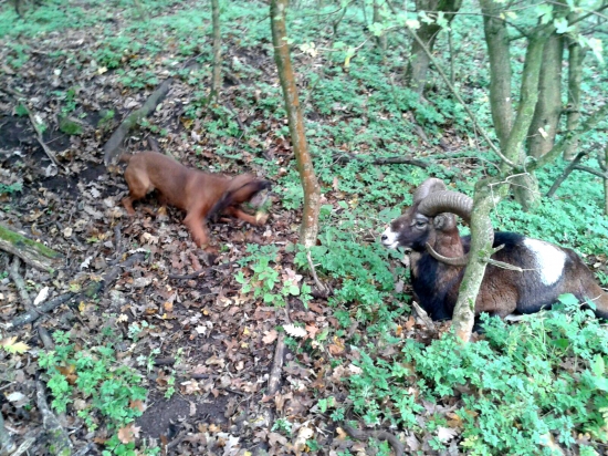 Má to v sebe- aj uši ma boleli.