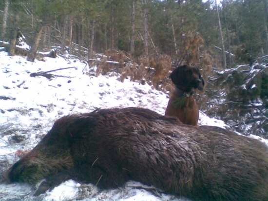 ešte zapózujem a ideme