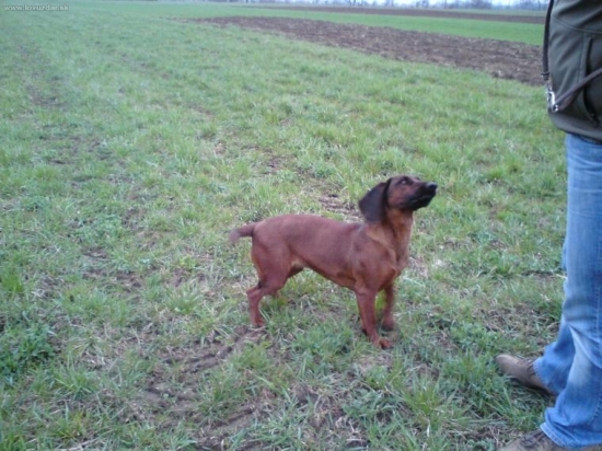 čo si ešte prajete?