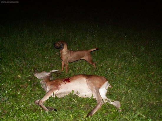 tu ma nepotrebujú,ale raz budú!