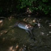 jedna z tých náročnejších