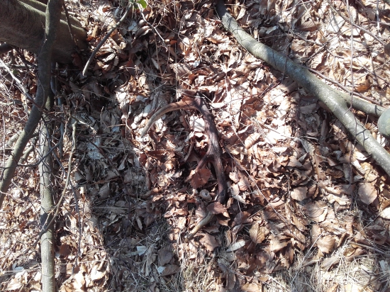 Jeden s tých slabších