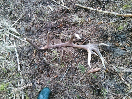 Ešte s minulej sezóny