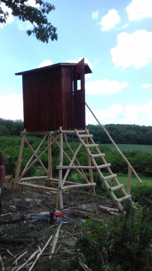 Dnes sme si troska zamakali.