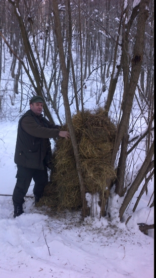 prikrmovanie aj mimo krmelcov