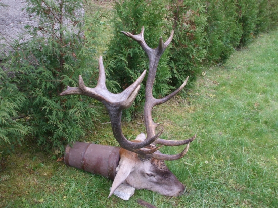 dodatok k trofeji 16-torak III.vt.