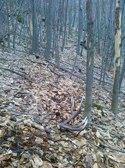 pohlad na nezaplatenie