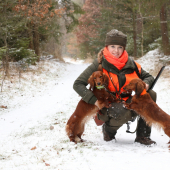 Tři lišky ryšavé :)