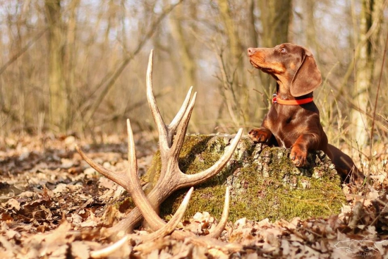 Nedám a ani nepůjčim