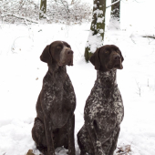 Lord Brok a Gróf Tiago