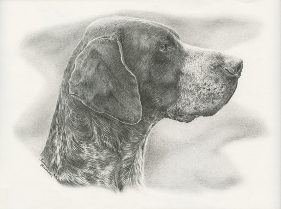 Lord Brok z Budmeríc kresba