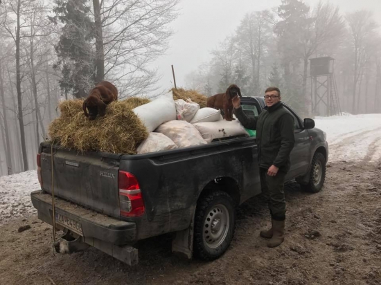 Šťastné a veselé prajem