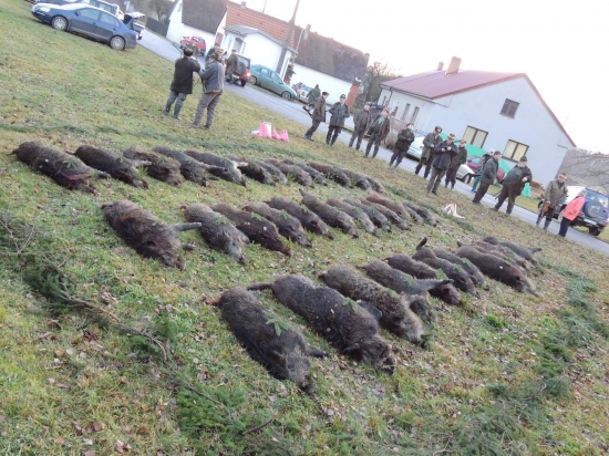 Naháňka u nás