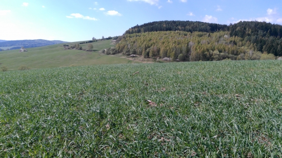 Ale je tu krásne :)